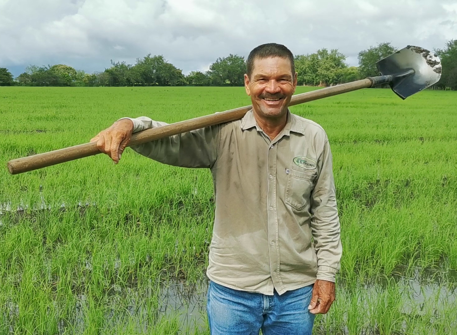 Servicios - -Agricultor